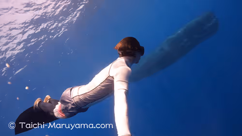 Item #61113597711829508019705348607354266595254896620371709928421355924217239961601 Media