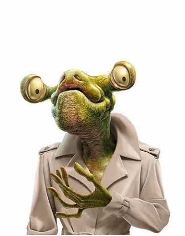inspector after