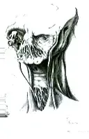 Item #23965628082619162748704684397438954473834990047941042330946547391741552492545 Media