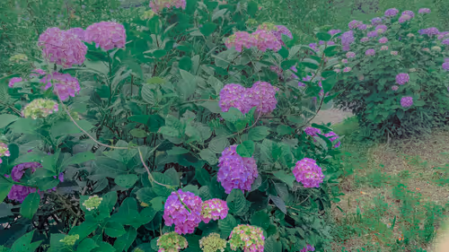 Item #26309083901545567454709889211670292098627789932924015051489478938284703875077 Media