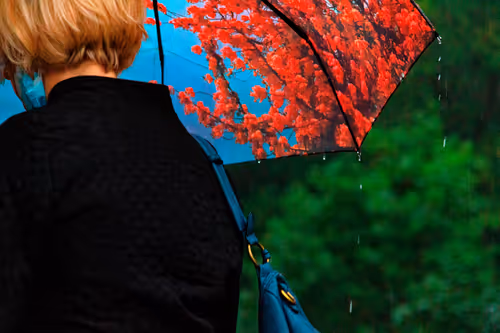 Item #80429871025811185059637884652673309792751753756700706488218533707151879176193 Media