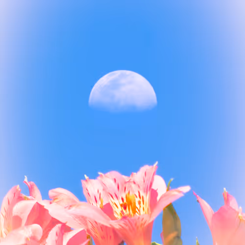 A Journey To The Moon