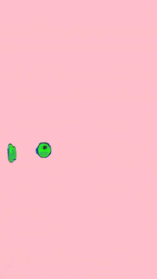 Item #107414966494140730288275175021958724096821775577449821988296577980443901558785 Media