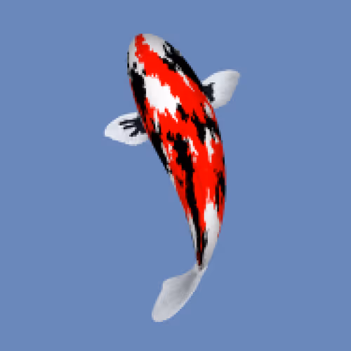 Item #85890538515849146191794191908996501016024634704301377485849135865896856715265 Media