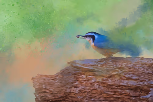 Item #20879904977050231781978559907445915739532146362246903749837269853435240382465 Media