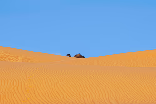 Item #12333759371985289416686528618250941787801478820548931806244366491034251689985 Media