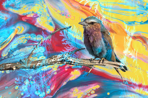 Item #68956660455802920949406474332140117379218782181167192068464389545502699421697 Media