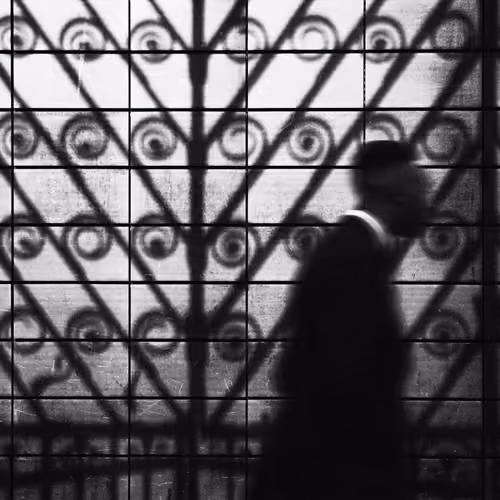 #7 Achromatic World | Between Light and Shadow