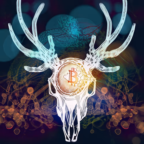 26856261697336362715784892637341635928383528219761439273443981340075538514009