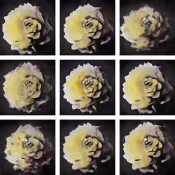 "Variation" Image 11: Arachnoïdeum