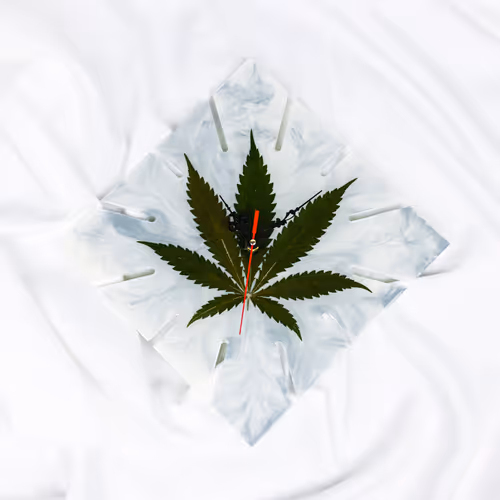 Item #10866731148574461933282528454272647296514218724332864202796050186265954353153 Media