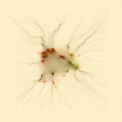 74011109513159304894558377152860080667648997857135590135513699194543131328513