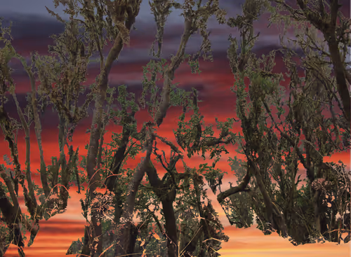 Item #9660583733469801473046997208294003880386431953096810754194996634021808570369 Media