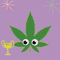 Flower Bomb Kush-2014 Best Strain Winner