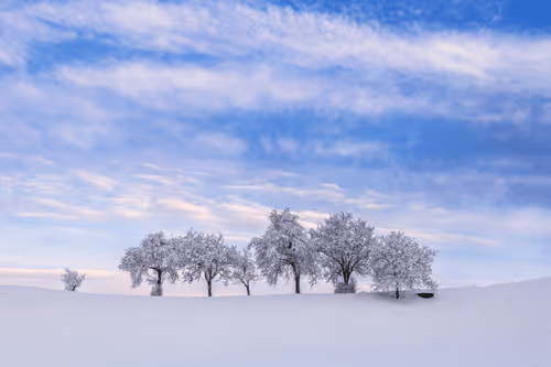 Item #82038507178112004707132471695972498506825775528903589266831690706257646190593 Media