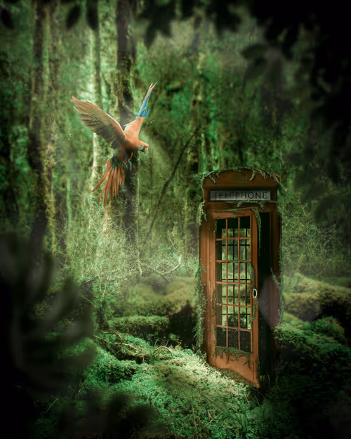 Item #101402258313892478442212721982475816552349155733216032124643297774393073074177 Media