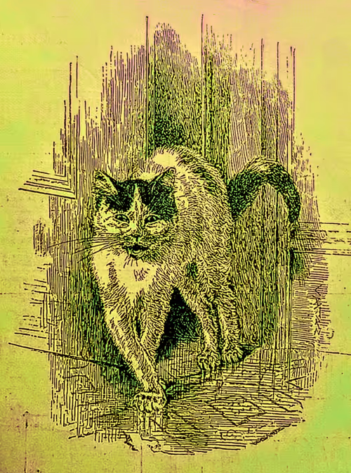 Item #35247308013863639916483757756408588227786114589757564733366544656202771464222 Media