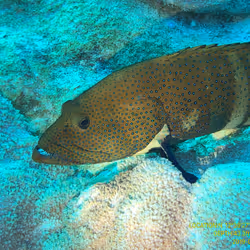 80965803268169370603932631570667161375508893671094224909166964244760179507201