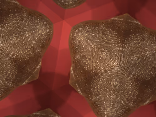 Item #69376820955182207634374405090115864776049539168882178084902512060337213145089 Media