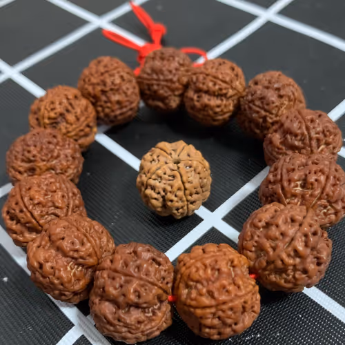 Untitled Collection #61349614