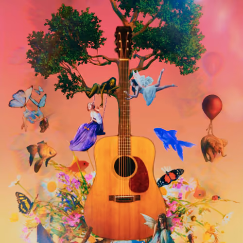 Draccy's Martin Guitar