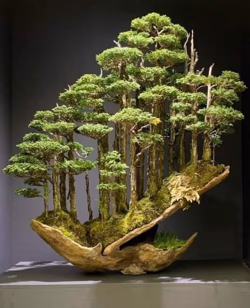 Item #112638842012957323397667355409978621827807315041052331183986003322975822020609 Media