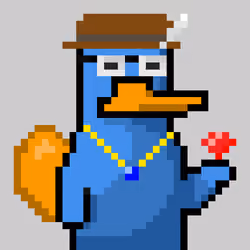 Platy Punk #2113
