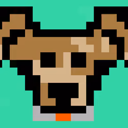 Noah BitPup