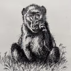 4288309145407295523431116215122397111529594114986911850026632794753759969480