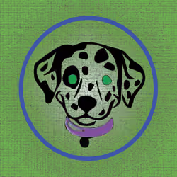 Dalmatian #217