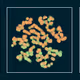 107937117699900001194099939943306584939867407144504846123696048258605316571137