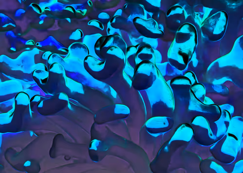 Item #85759807774714586460720651753290315813953651366721325870556511209966620639233 Media