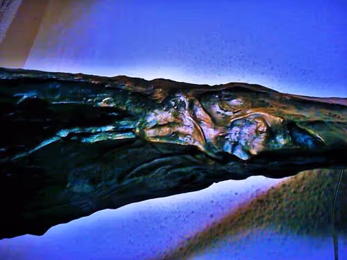 Item #106088272976837957622692016979005149737682721822220582827687527753094617104385 Media