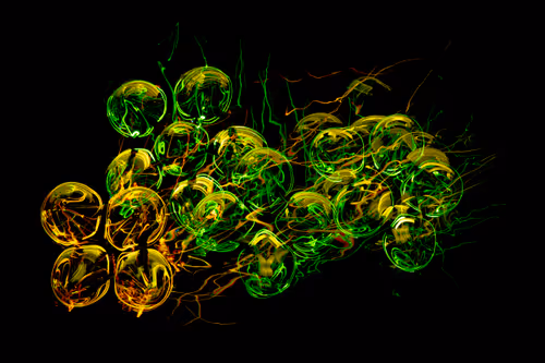 Item #36961558667508468901754344417864317572364831153456800218286958049014891675649 Media