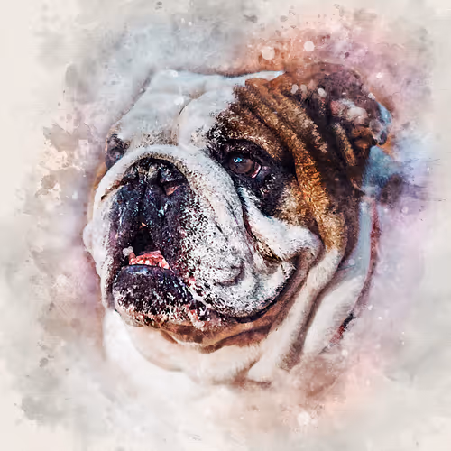 Item #58778693027167081171551254425987739881212938783430637935774676641305795231745 Media