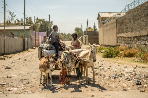 Item #50027882237522295676960542276708360859068113986169674979910833921798375997441 Media