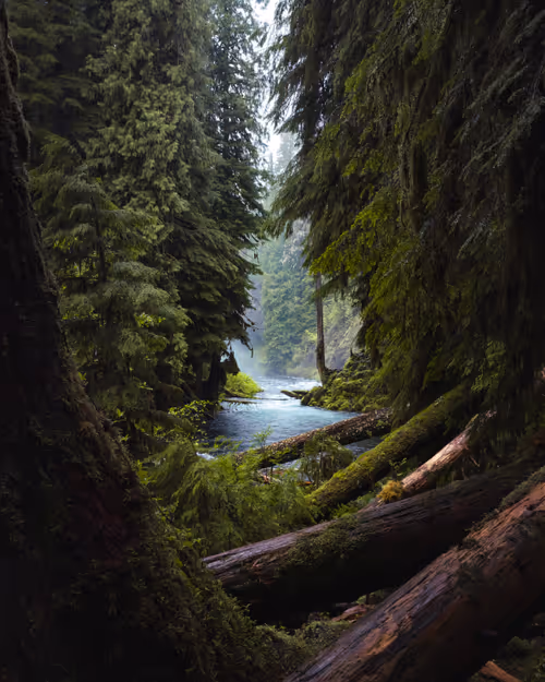 Item #59404681870809906448390957325299961742928436828892721220786848777015870357505 Media