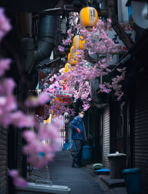 Item #81365922554281880143414136761733390581567018146899571572498285351037038493697 Media