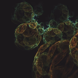 Spores