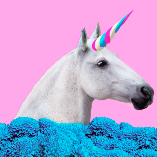 Female Unicorn
