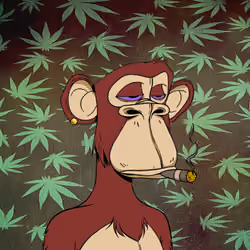 High Ape #12 