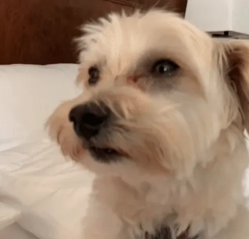 Jimmy!