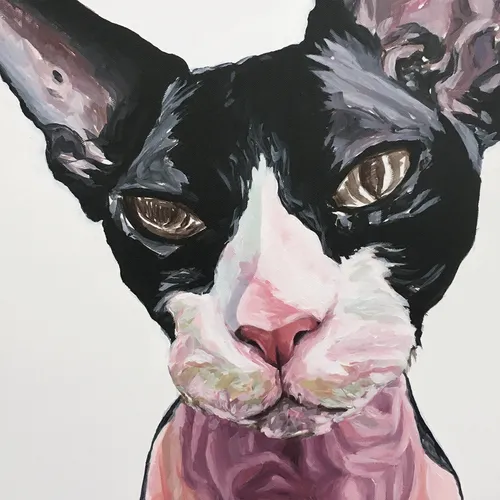 Item #111426397768687495074212779570464875826872703160422642189858348535399598522369 Media