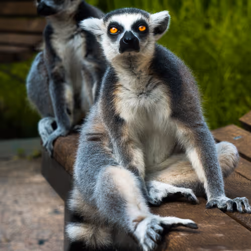 36803766187647196690517014366493952358167166362150973793678746546665720643585