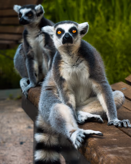 Item #36803766187647196690517014366493952358167166362150973793678746546665720643585 Media