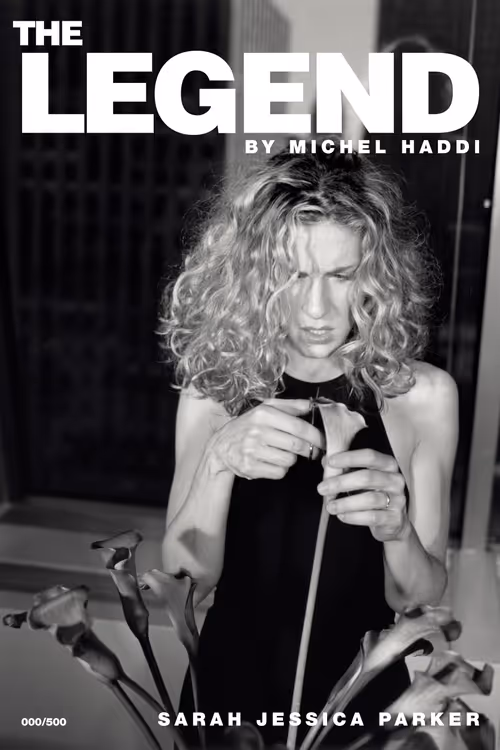 Item #32943377518099594456813967973387643300391306309809104179292286895107730309121 Media