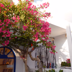 33261409280827848890636833313665954217119010705453802455397167679988148731912