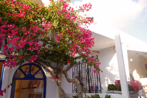 Item #33261409280827848890636833313665954217119010705453802455397167679988148731912 Media