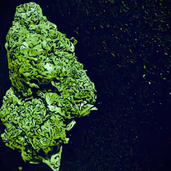 MetaKush - Top Shelf Life 