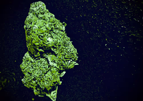 Item #19301864576683585495984092936121716989427215585305586530485858588391276281857 Media